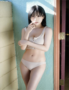 西北狼电视剧