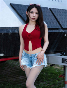 铁血征途电视剧全集